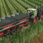 Feltrina Vineyard Series