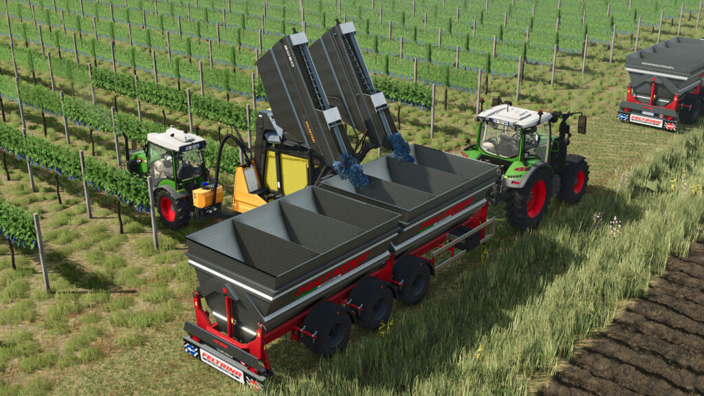 Feltrina Vineyard Series2