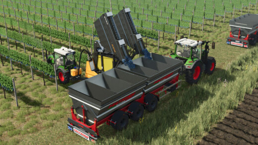 Feltrina Vineyard Series2