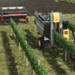 Feltrina Vineyard Series4