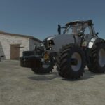 Lizard 12504
