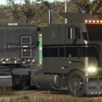 Lizard 3622