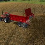 Lizard EBV 15003