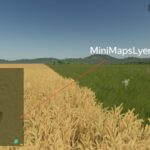Mini Map Layer3