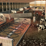 Monoslope Barn