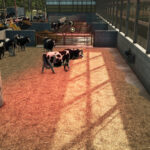 Monoslope Barn3