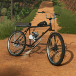 Motorized Bike6