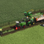 Multiple Silage Types