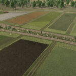 Neighbors On The Fields