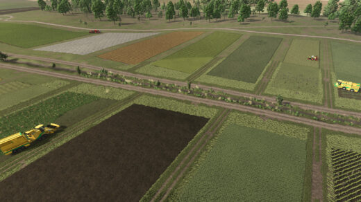 Neighbors On The Fields