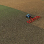 Neighbors On The Fields3