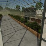 Pack Greenhouses – Diversity under Glass3