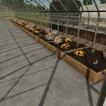 Pack Greenhouses – Diversity under Glass4