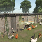Polish Chicken Coops4