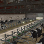 Polish Modern Cowshed4