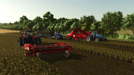 Potato harvesters