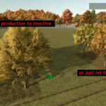 Production Schedule3
