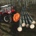 Ritter D602