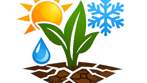 Seasonal Crop Stress