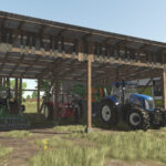 Shed6