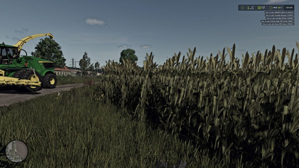 Silage Sorghum