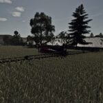Silage Sorghum5