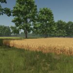 Staby Agri2