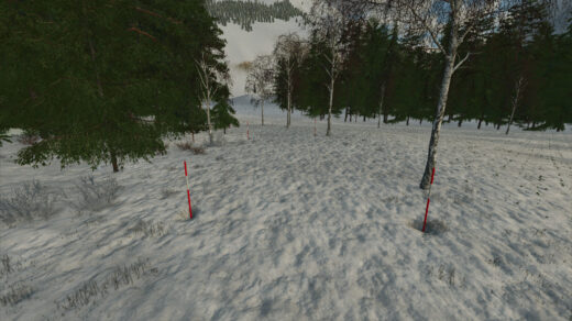 Swedish Snow Pole