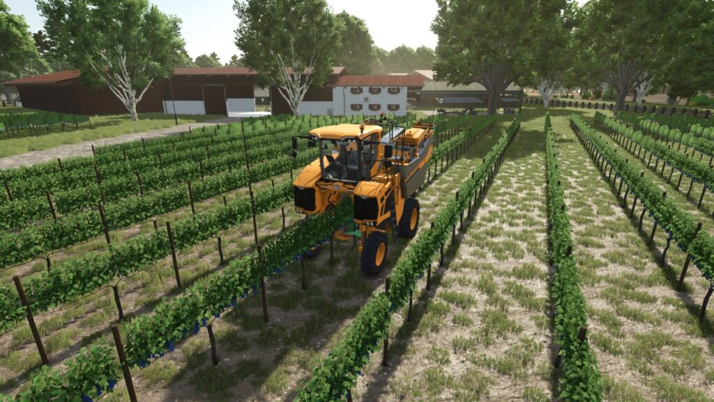 Tools for grapes and olives