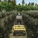Tools for grapes and olives5