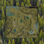 Umbreon Valley2