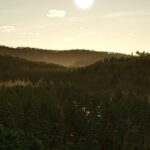Umbreon Valley5