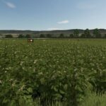 Vintage Farm V2.0 Multifruit3
