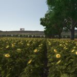 Vintage Farm V2.0 Multifruit5