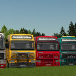 Volvo F16 Globetrotter Tipper6