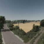 Żbiki5