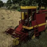 Zmaj 1333