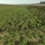 Advanced Hay Drying4