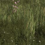 Anti-AFK2