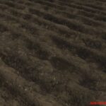 Anti-AFK4