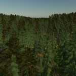 Back Roads County Forestry Edition 4x