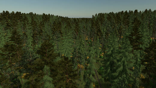 Back Roads County Forestry Edition 4x