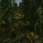 Back Roads County Forestry Edition 4x3