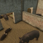 Balkan Pig Barn2