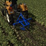 Beet Machines4