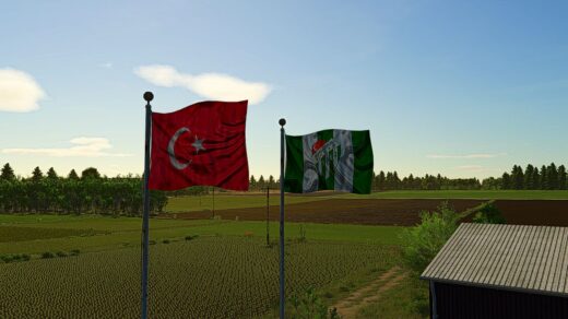 Bursa sports Flag