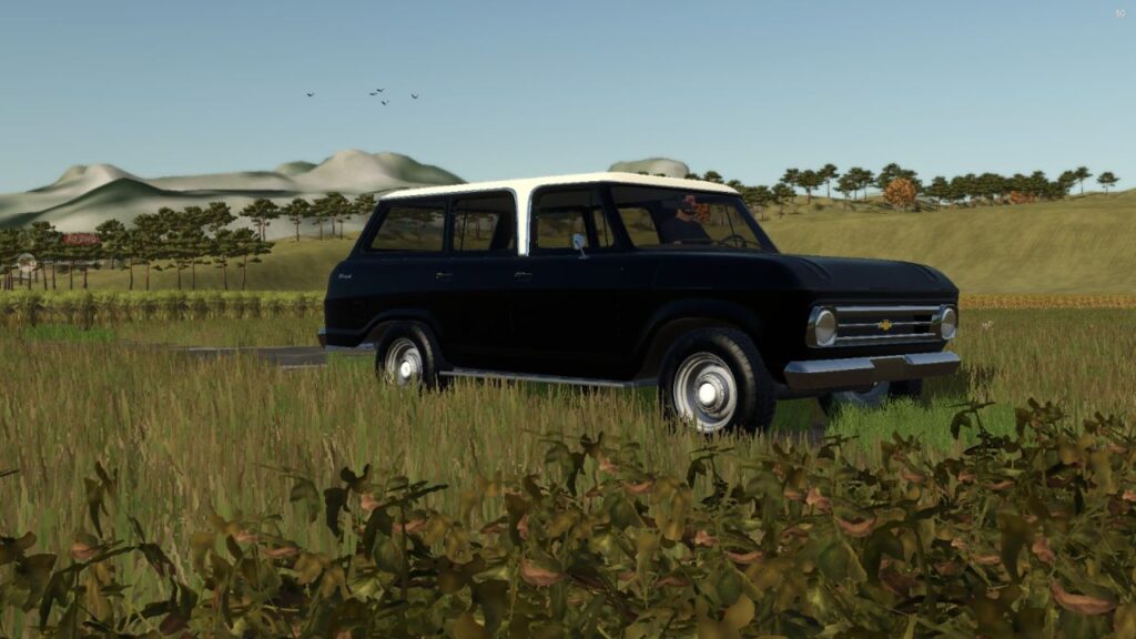 Chevrolet Veraneio
