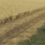 Combine Straw Refeed v1.02