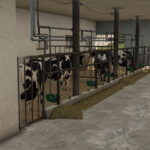 Cow Barn2