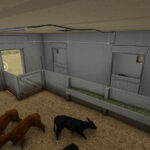 Cow Barn4